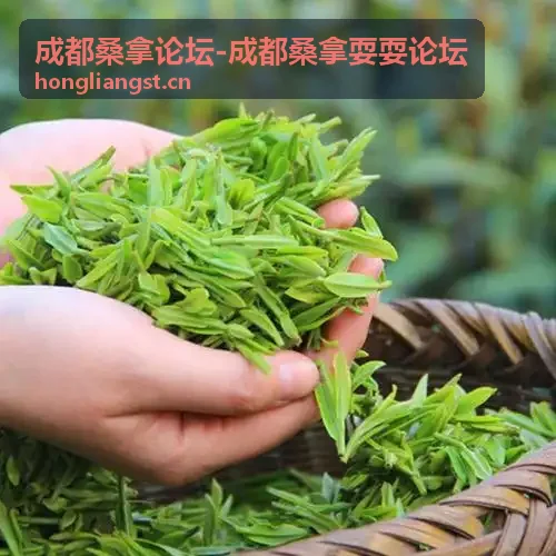 成都桑拿论坛用户真实场所点评库截图
